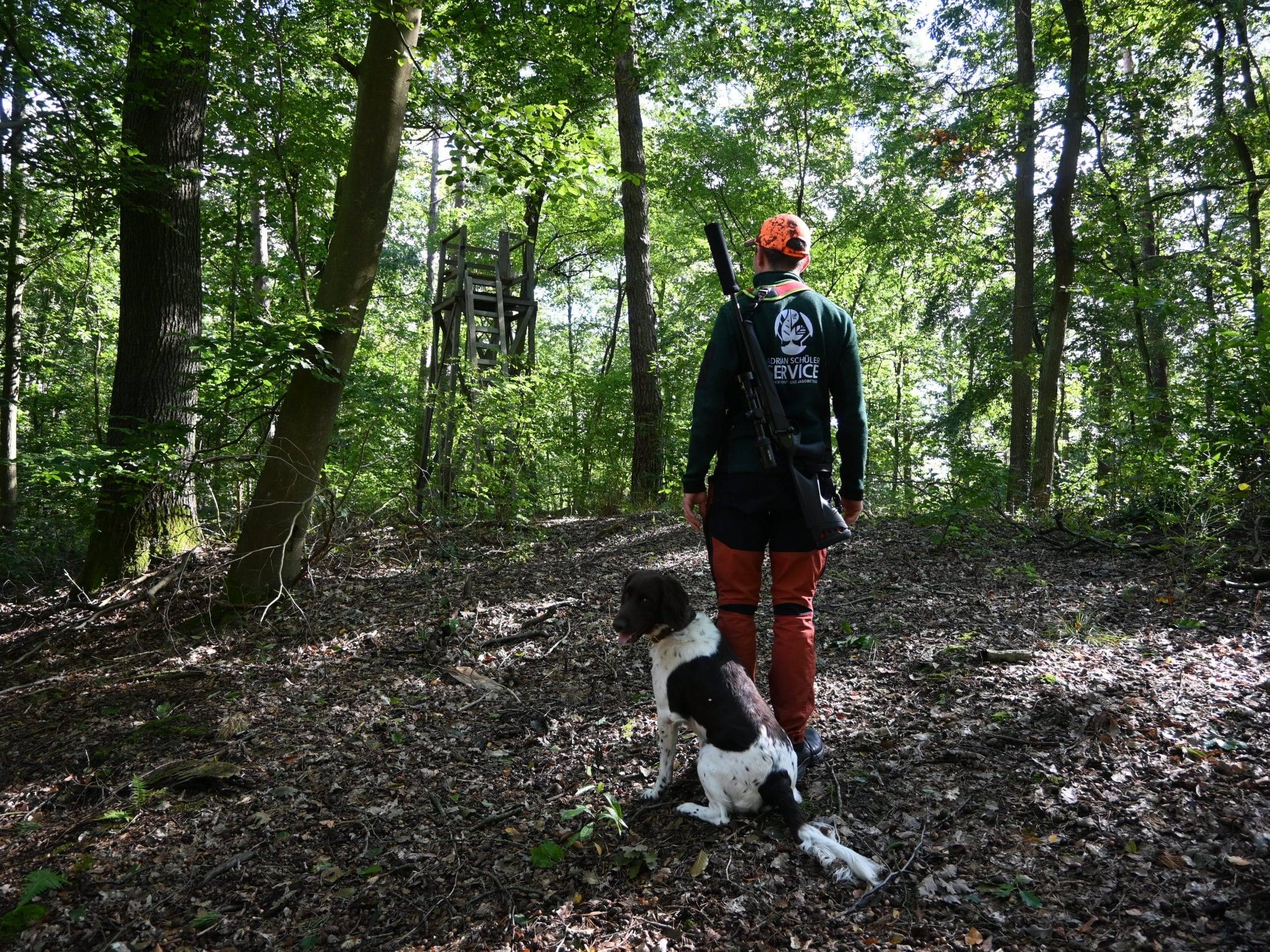 Jäger mit Hund steht im Wald, Forst, Biodiversität