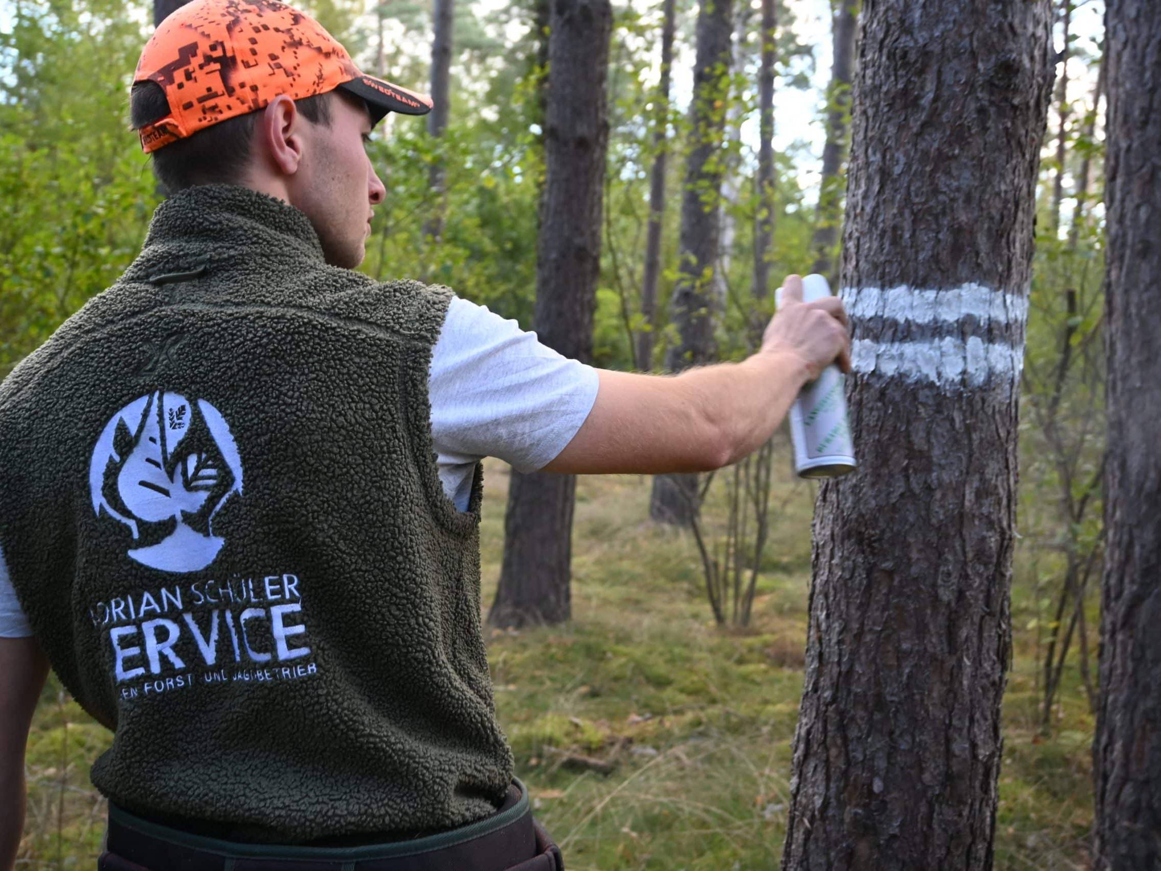Förster markiert Baum, Baummarkierung Forst, Service
